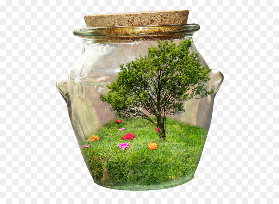 Terrarium，Pot En Verre PNG