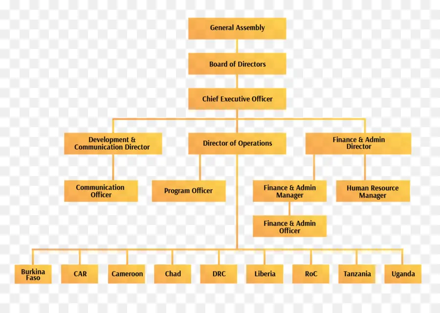 Organisation，Structure Organisationnelle PNG