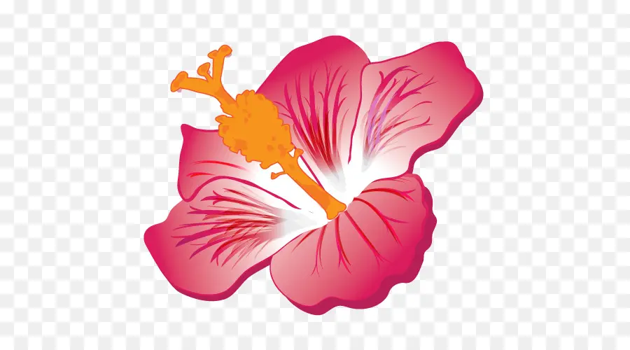 Fleur D'hibiscus，Rose PNG