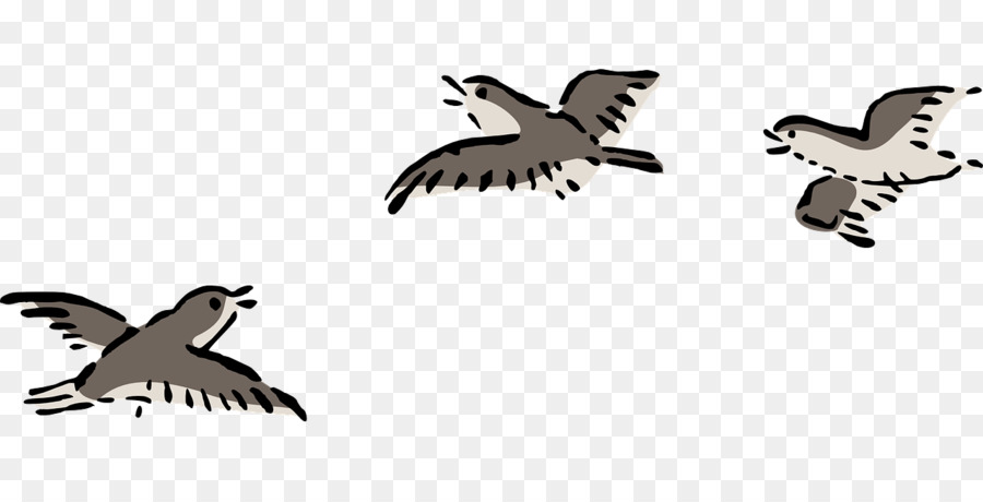 Oiseau Vol Dessin Png Oiseau Vol Dessin Transparentes Png Gratuit