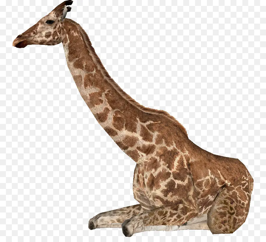 Zoo Tycoon 2 Animaux éteints，Giraffa Jumae PNG