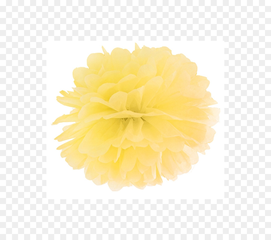 Fleur，Jaune PNG