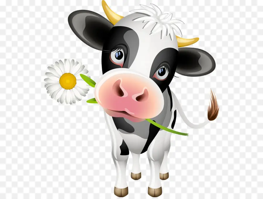 Veau，Holstein Friesian Bovins PNG