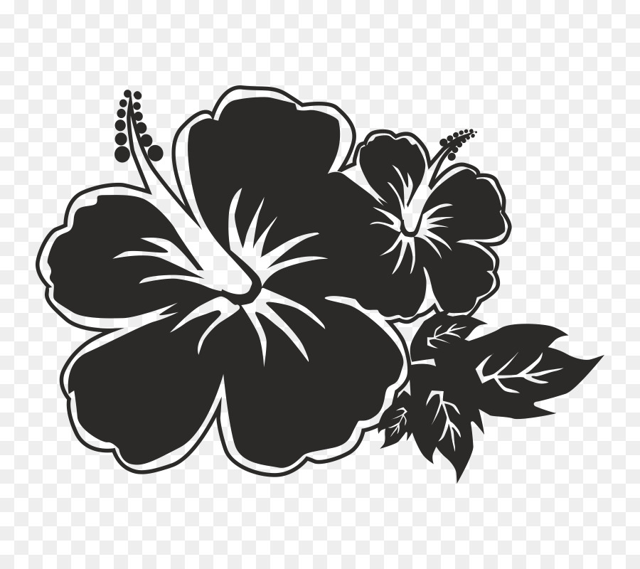 Kauai Société Protectrice Des Animaux De La Floraison Des Queues De Revente Magasin，Rosemallows PNG
