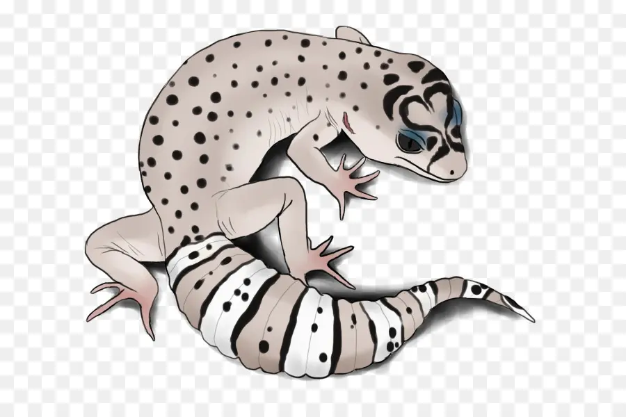 Gecko，Lézard PNG