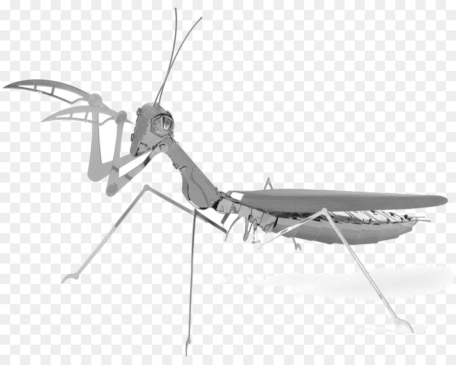 Les Insectes，Mantis PNG