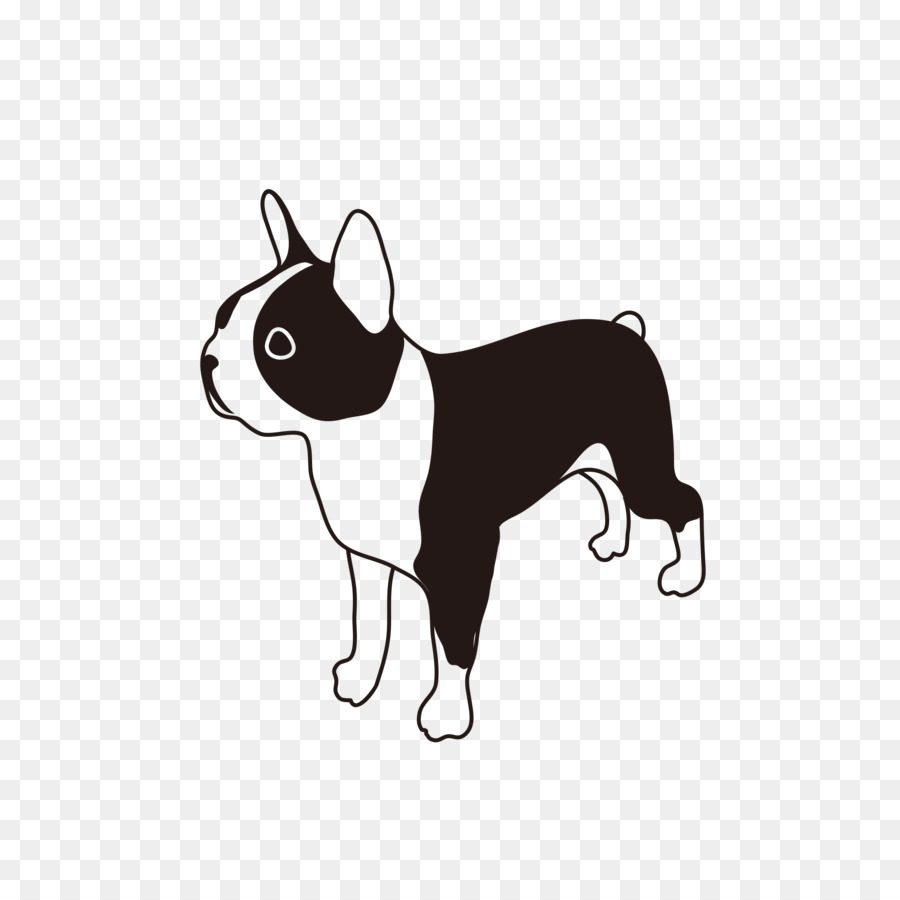 Terrier De Boston，Chiot PNG