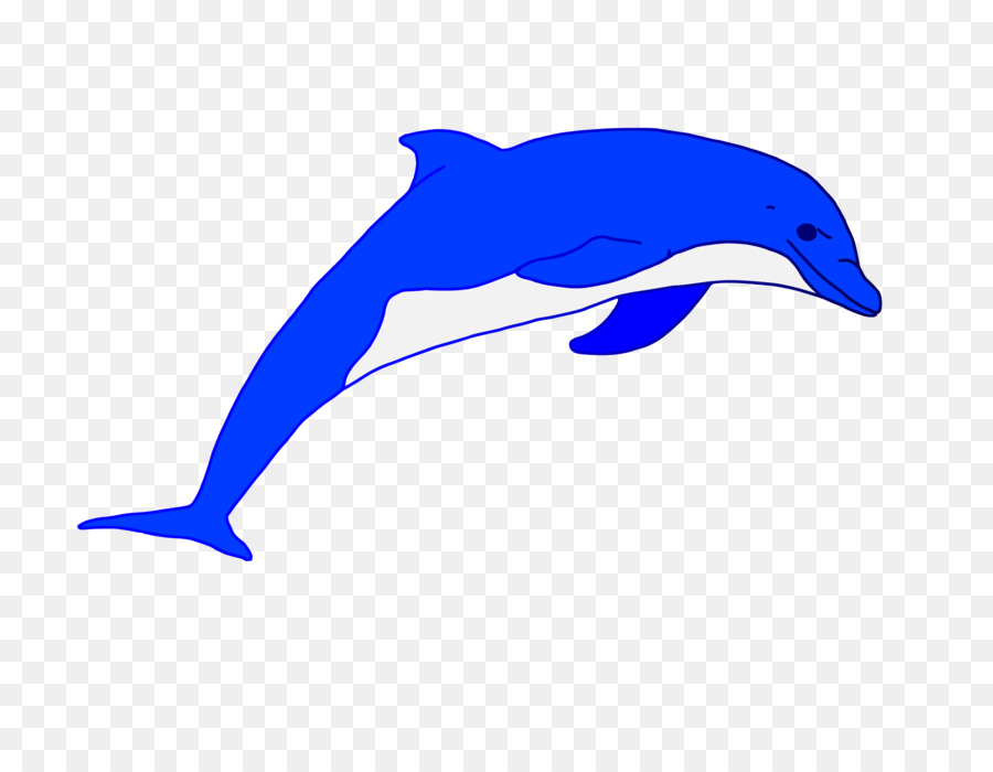 Dauphins De Dessin Animé，Marin PNG