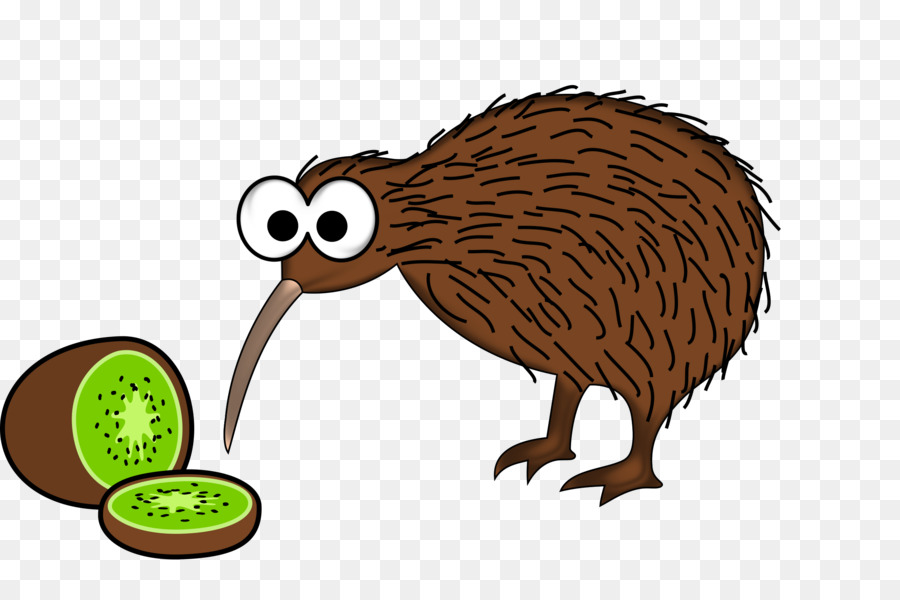 La Nouvelle Zelande Oiseau Nouvellezelande Le Kiwi Png La Nouvelle Zelande Oiseau Nouvellezelande Le Kiwi Transparentes Png Gratuit