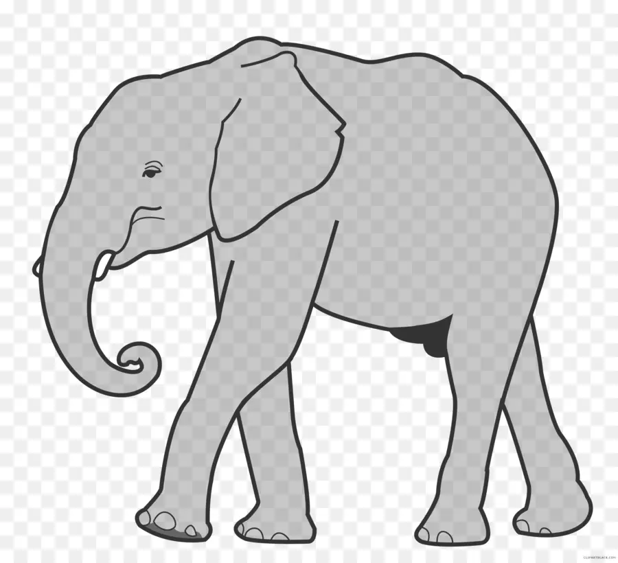 L éléphant D Afrique，Les éléphants PNG