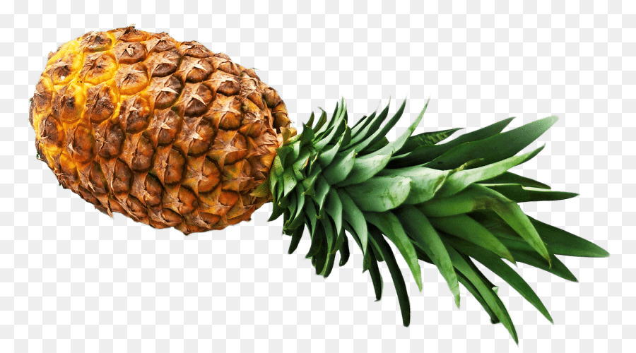 Ananas，Tropical PNG