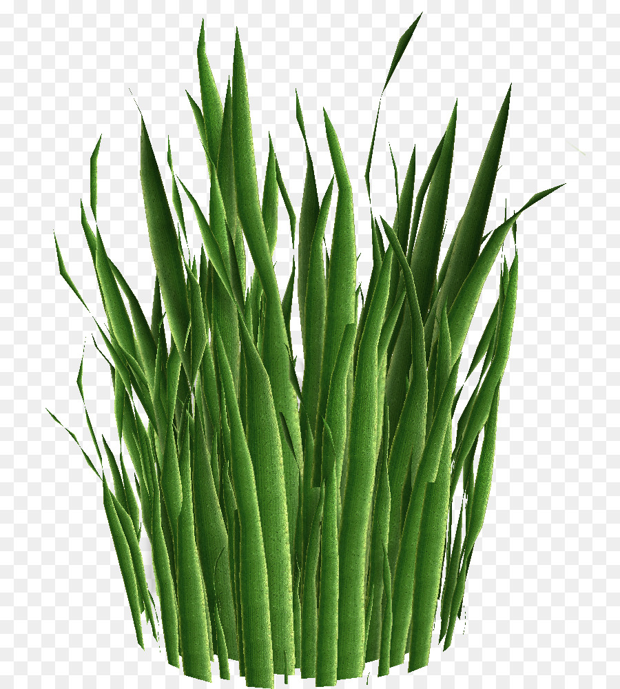 Herbe Verte，Lames PNG