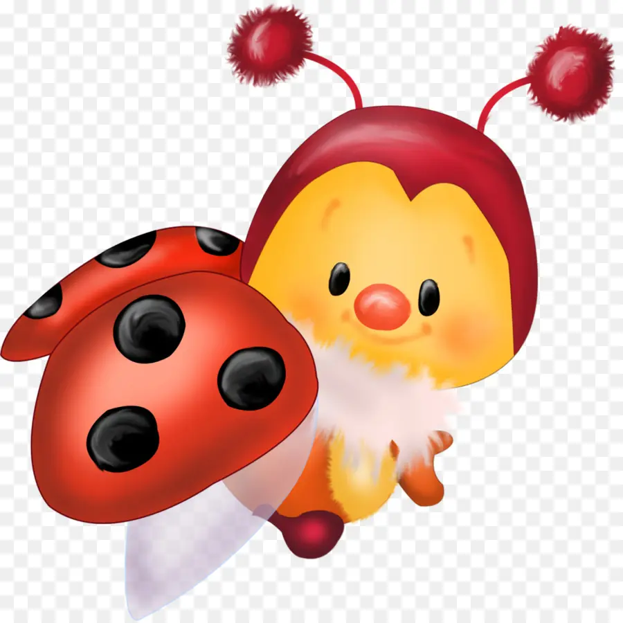 Coccinelle，Insecte PNG