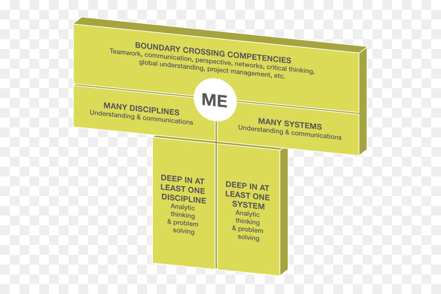 Tshaped Compétences，Professionnel PNG