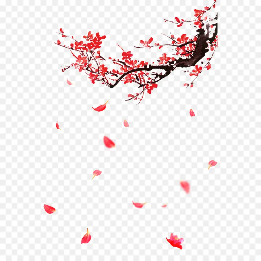 Branche De Fleurs Rouges，Fleurs PNG