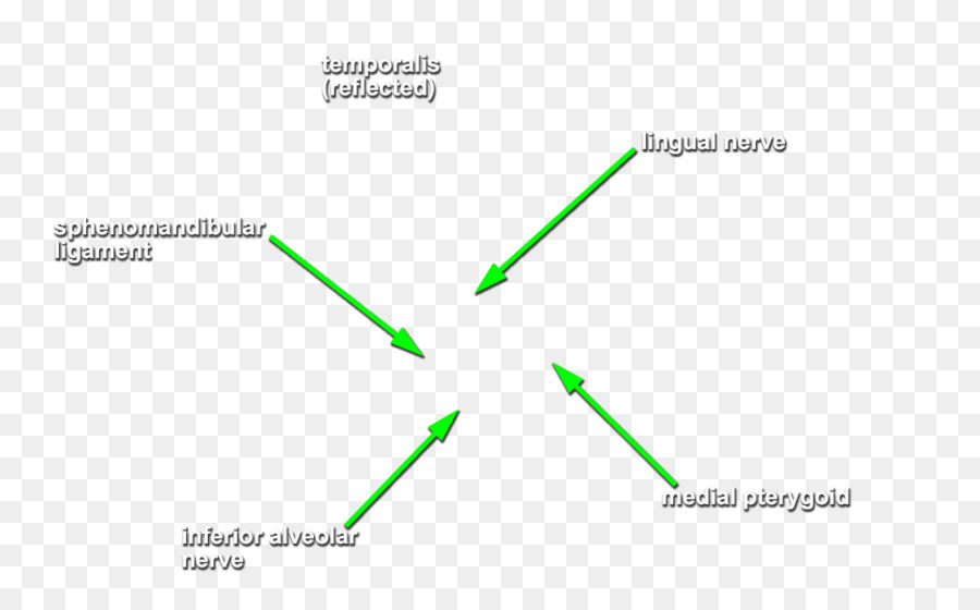 Diagramme，Vert PNG