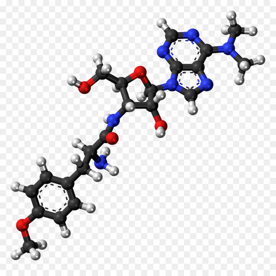 Adn，Nucléotide PNG