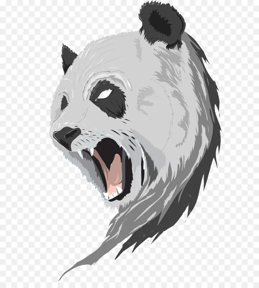 Panda Géant，Dessin PNG