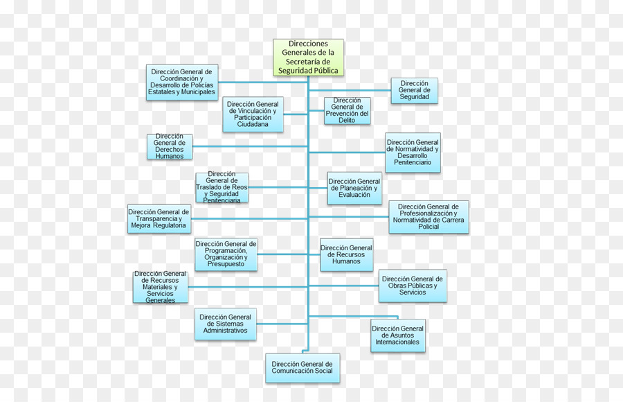 Organigramme，Structure PNG