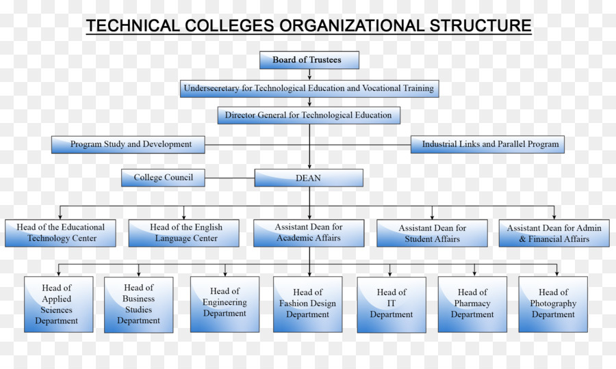 Structure Organisationnelle，Graphique PNG