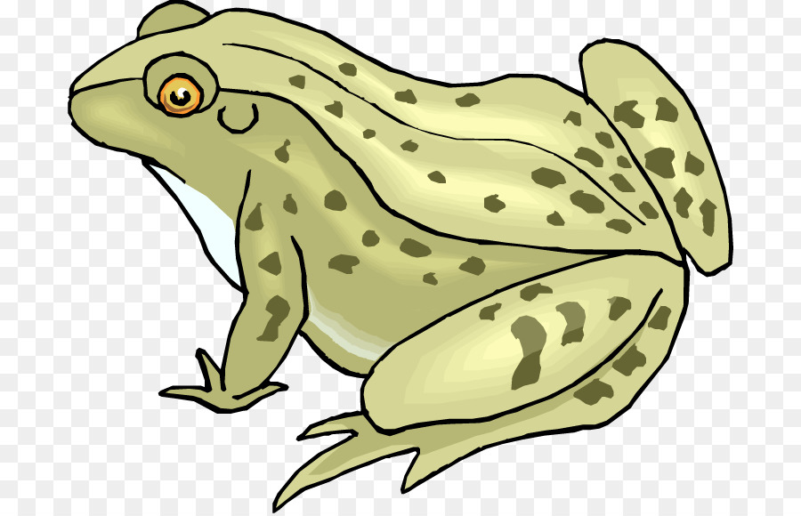 Grenouille，La Grenouille Et Le Crapaud PNG