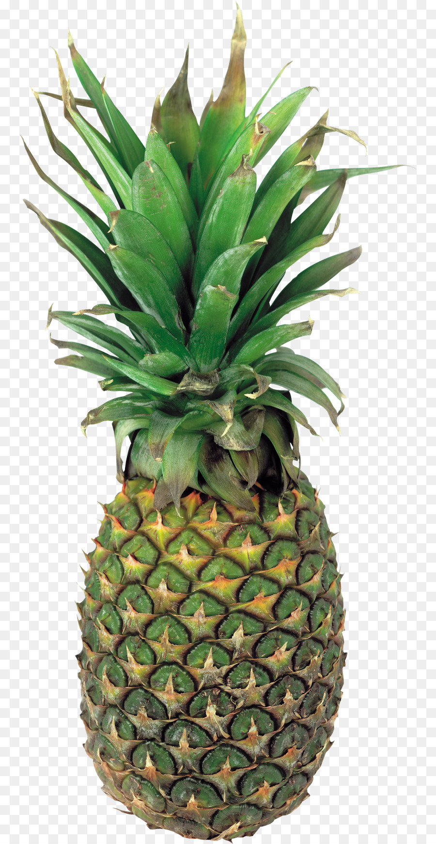 Ananas Bleu，Fruit PNG