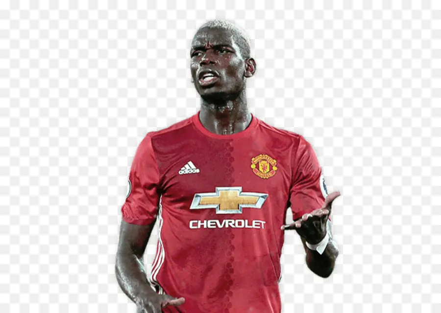 Paul Pogba，Le Manchester United Fc PNG