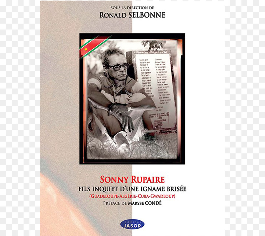 Sonny Rupaire Fils Inquiet D Une Igname Brisée，La Publicité PNG