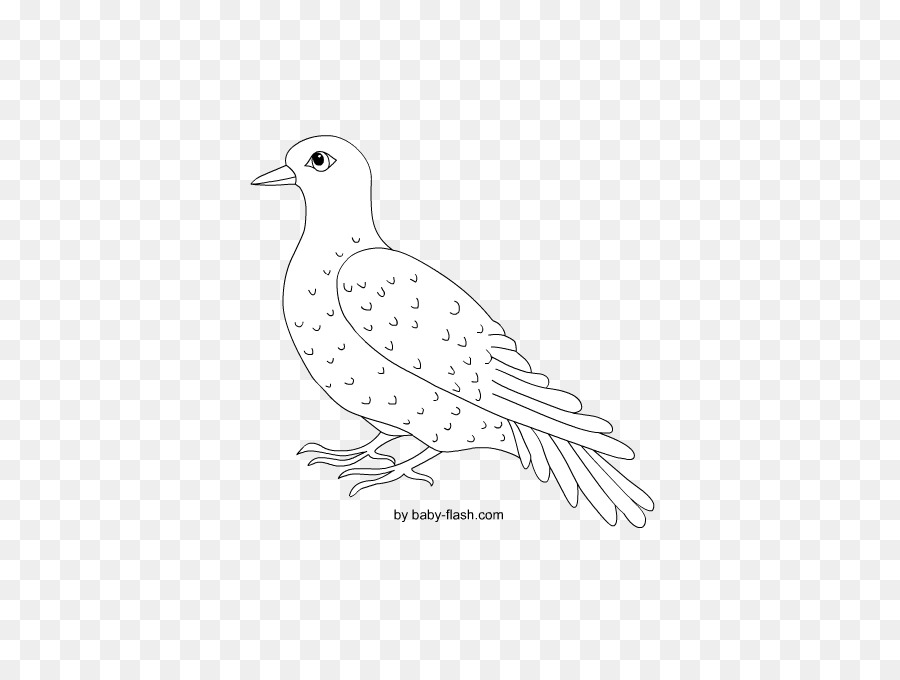 Dessin De Colombe，Pigeon PNG