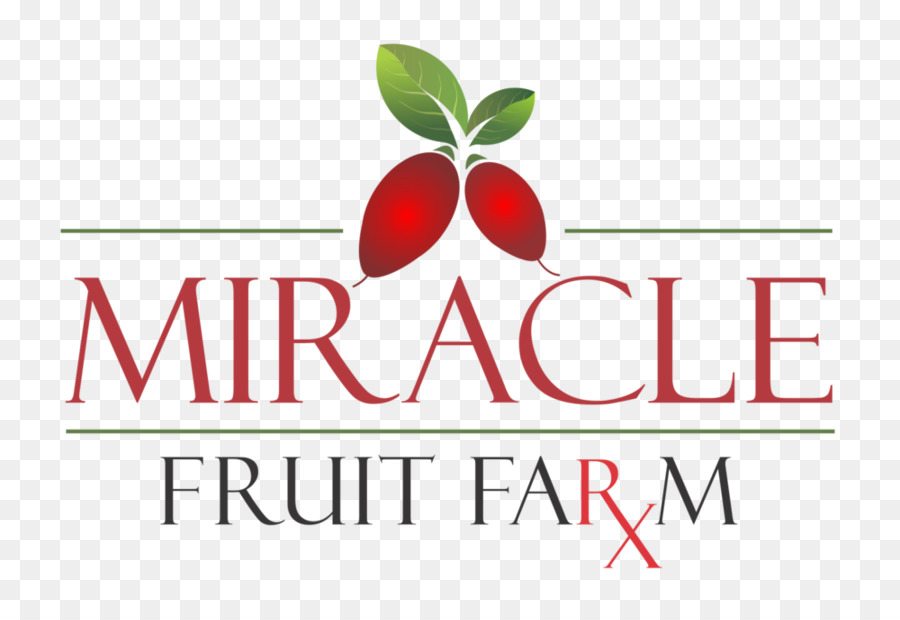 Logo，Fruit PNG