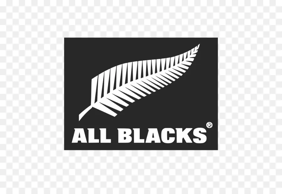 Logo Des All Blacks，Fougère PNG