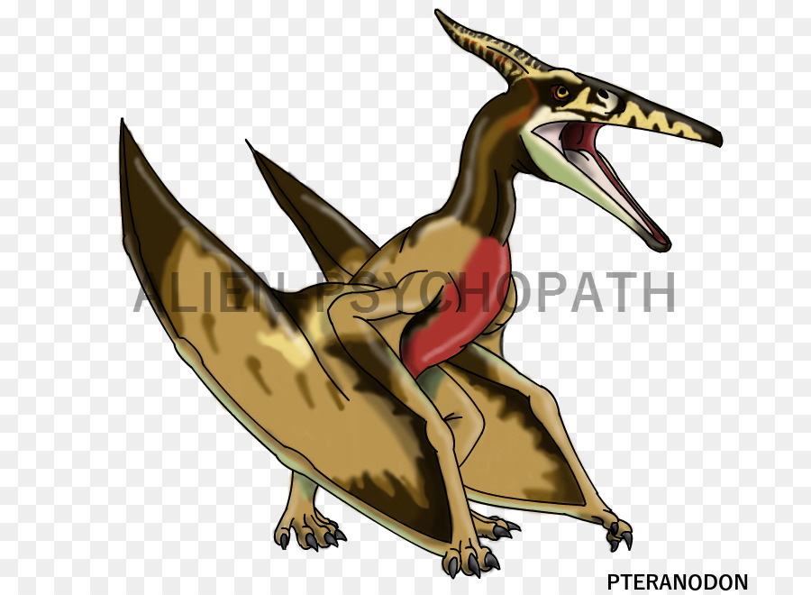 Gallimus，Vélociraptor PNG