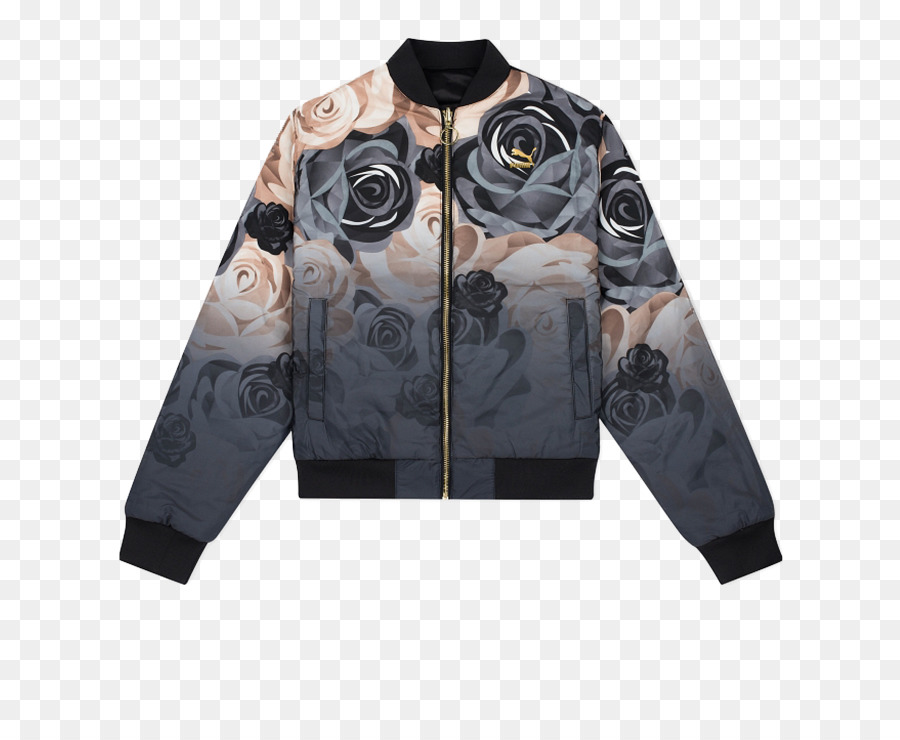 Veste，Veste De Vol PNG