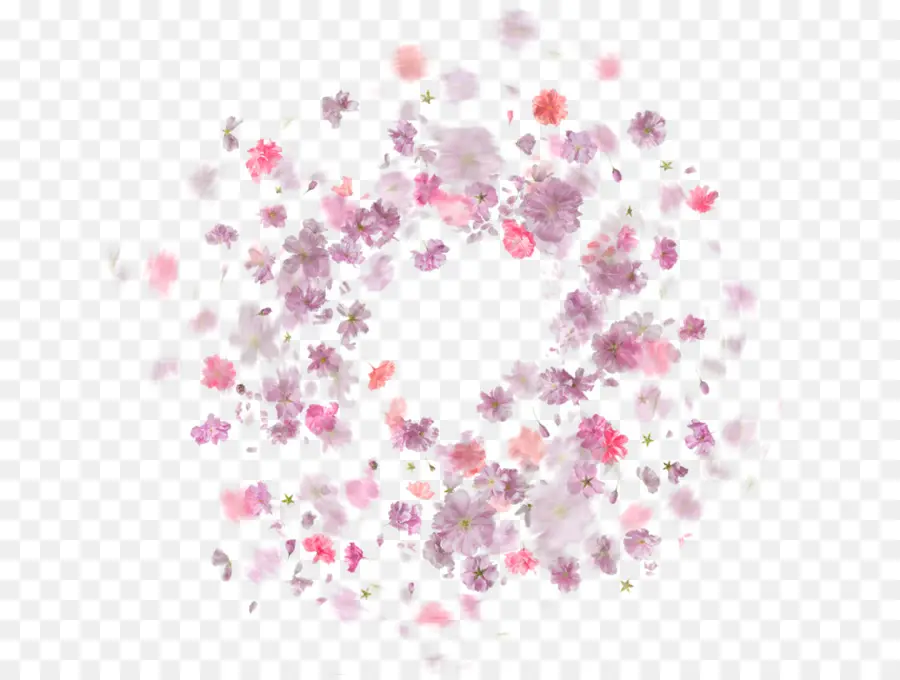 Fleurs，Rose PNG