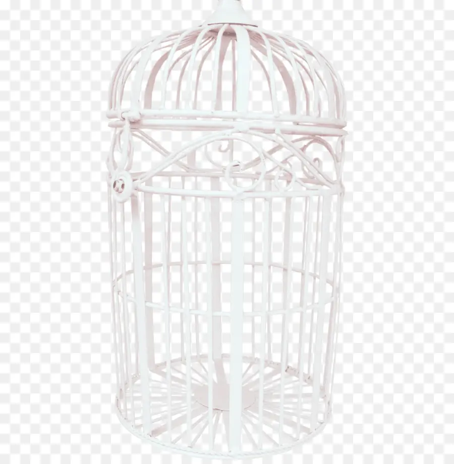 Cage，Oiseau PNG