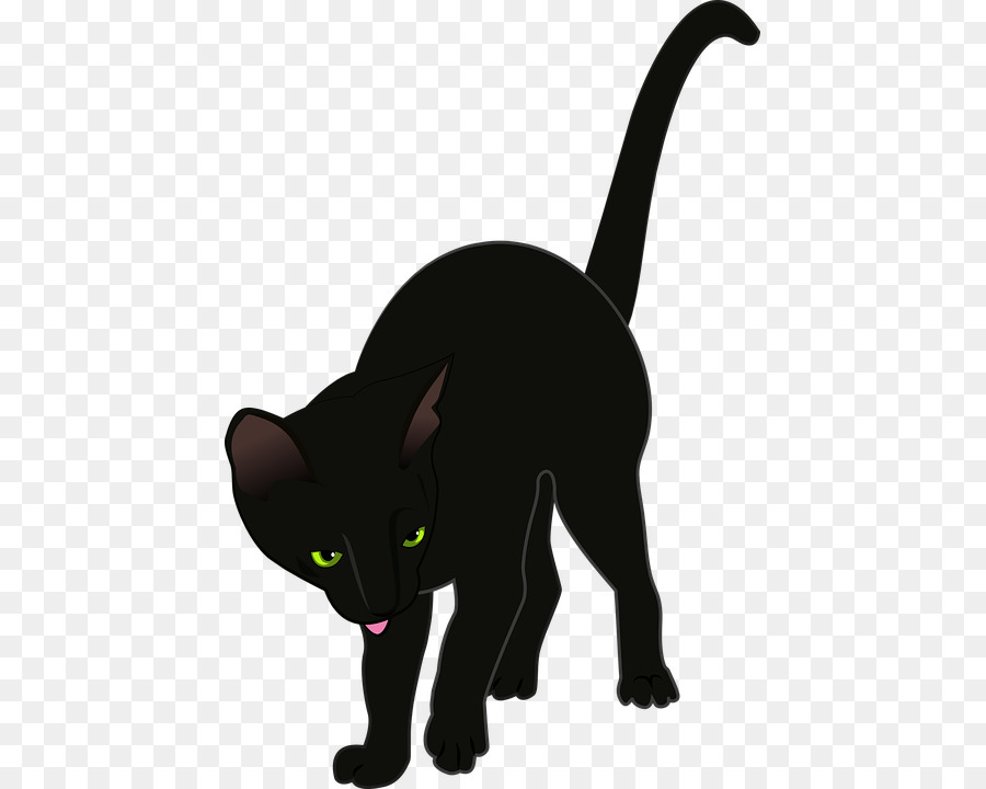 Chat，Noir PNG