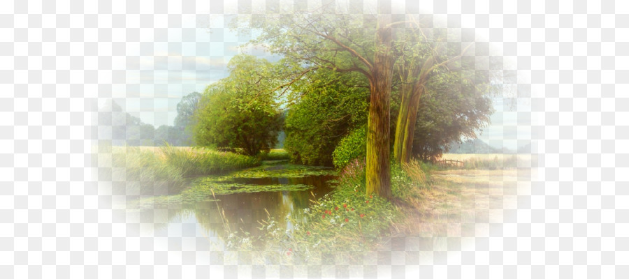 Paysage Pittoresque，Arbres PNG