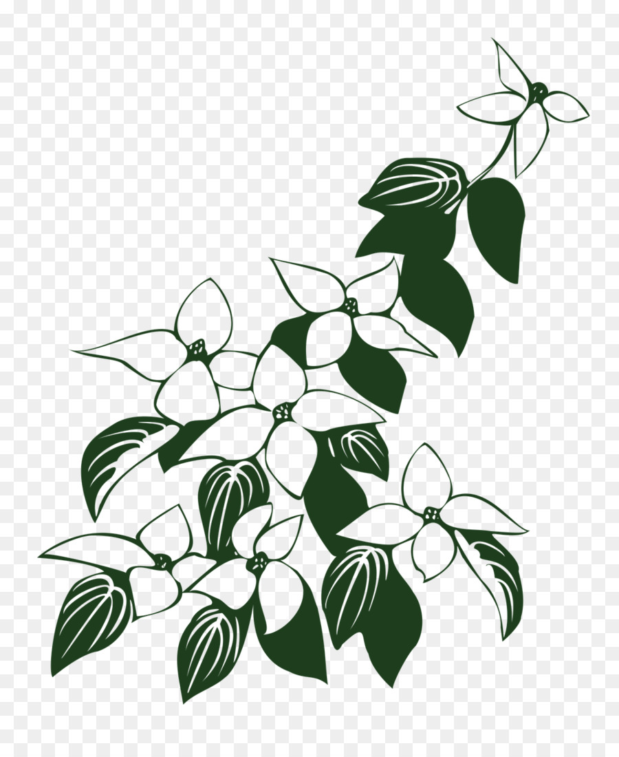 Fleur，Feuilles PNG