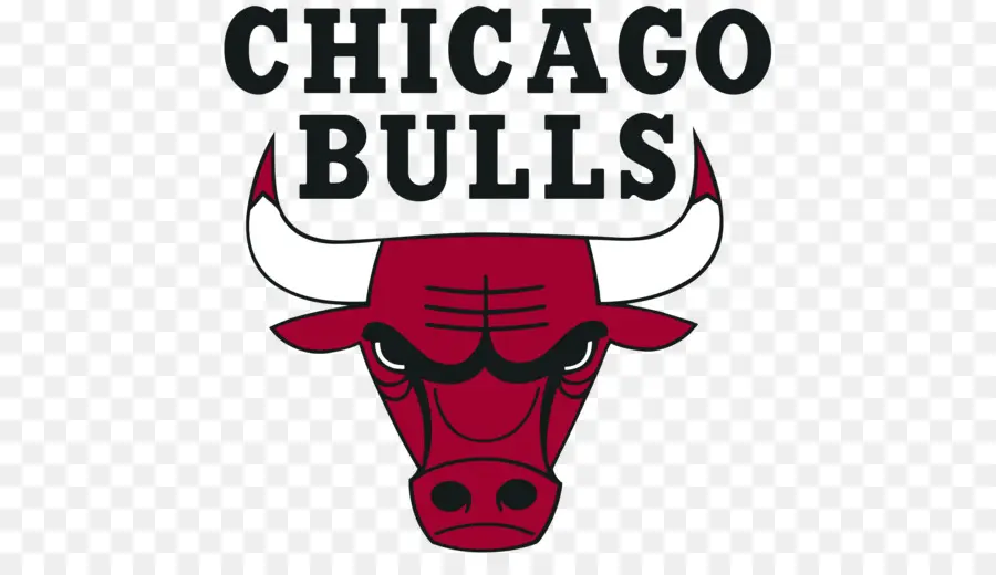 Chicago Bulls，Basket Ball PNG