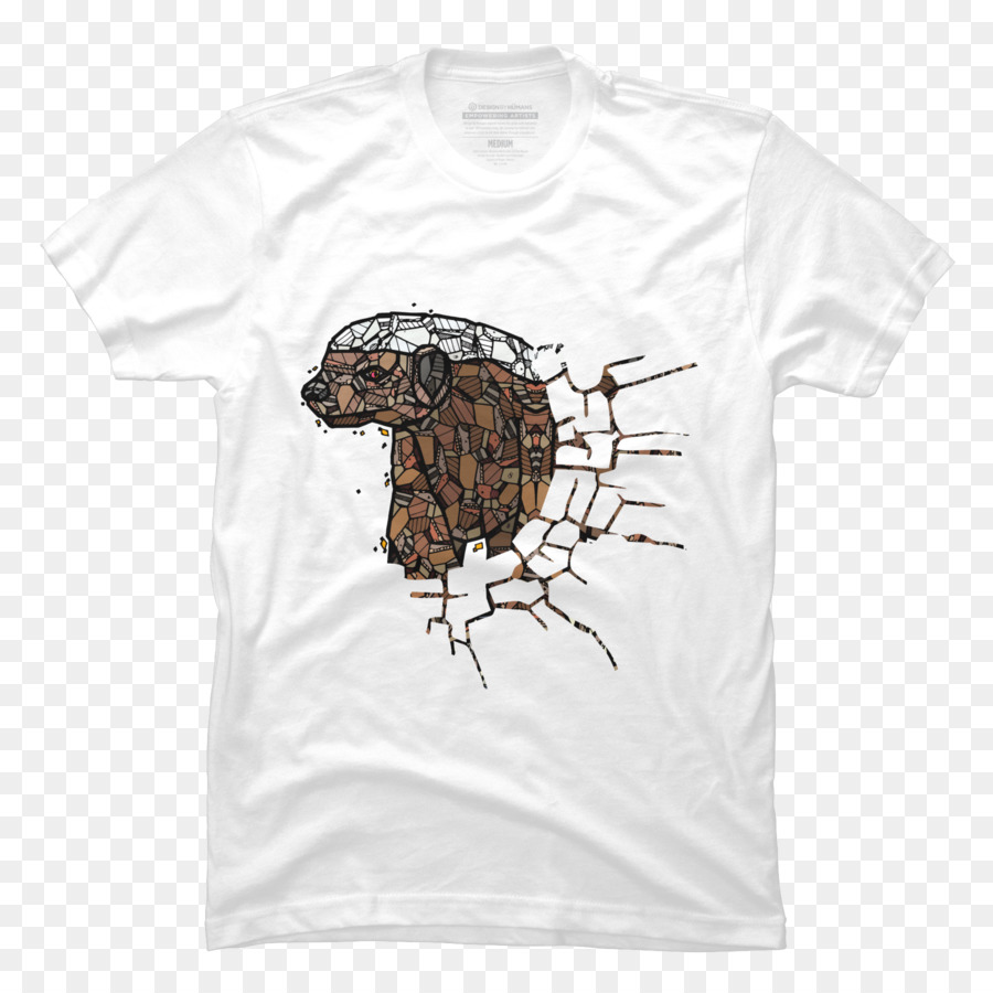 Tshirt，Tortue PNG