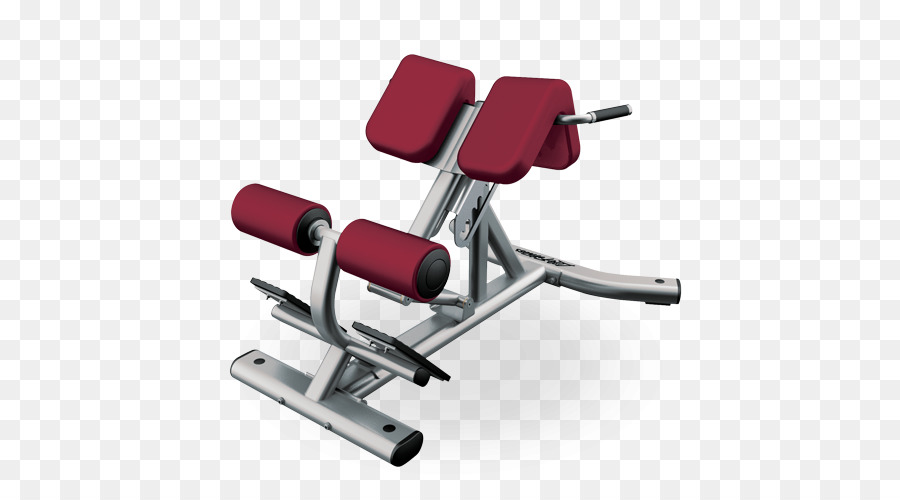 Banc De Musculation，Salle De Sport PNG