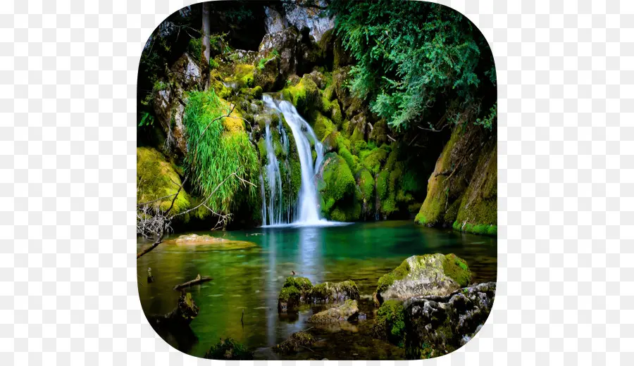 Cascade，Forêt PNG