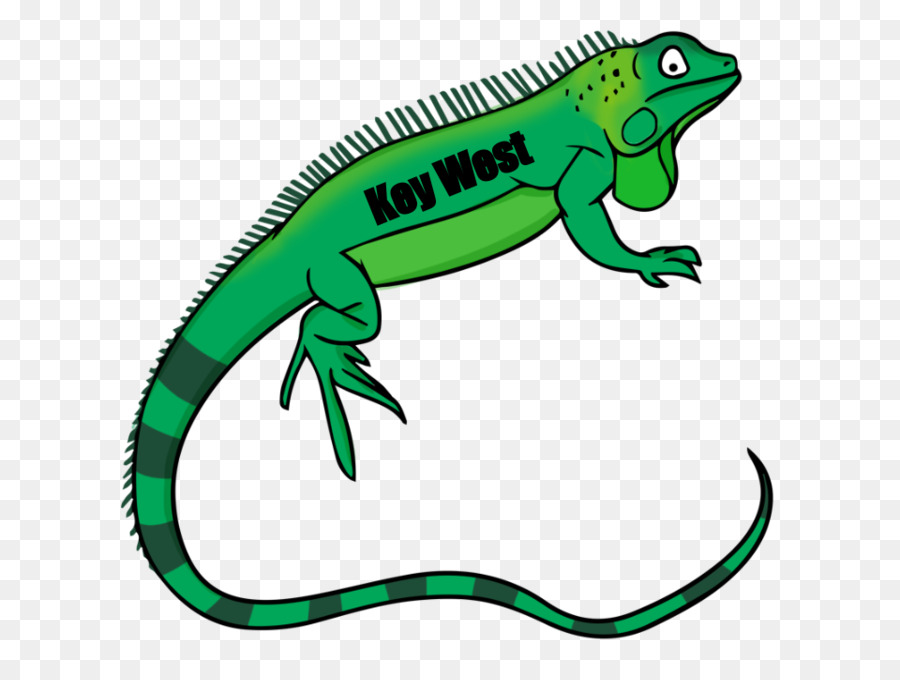 Iguane，Vert PNG