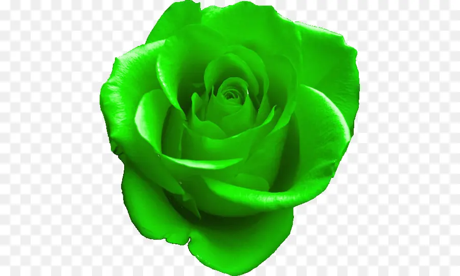 Rose，Vert PNG