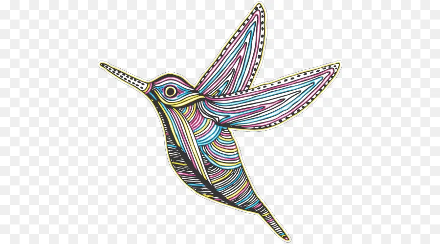 Colibri Coloré，Vol PNG