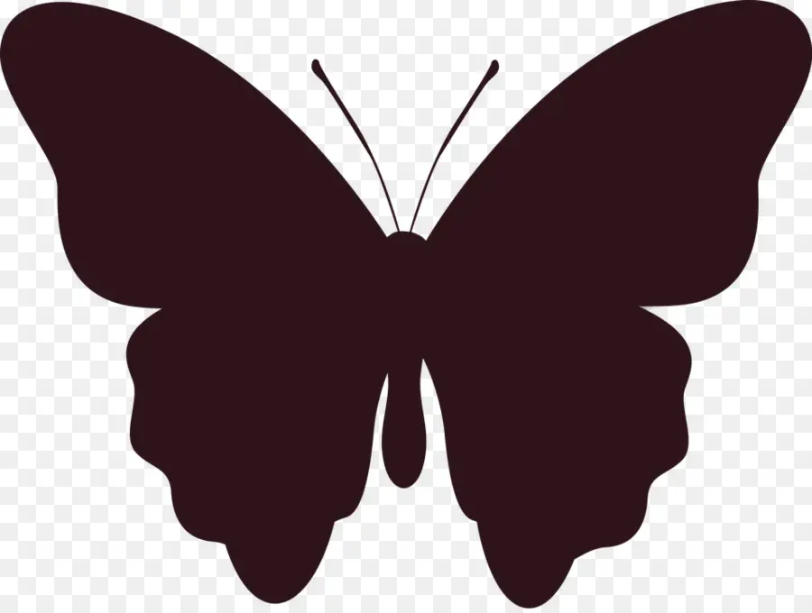 Papillon，Insecte PNG