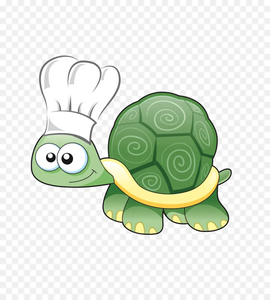 Tortue Chef，Cuisson PNG