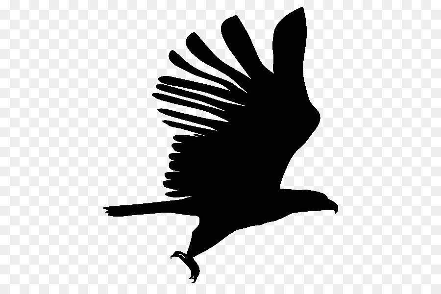 Oiseau Noir，Vol PNG