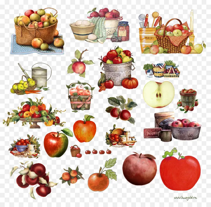 Pommes，Panier PNG