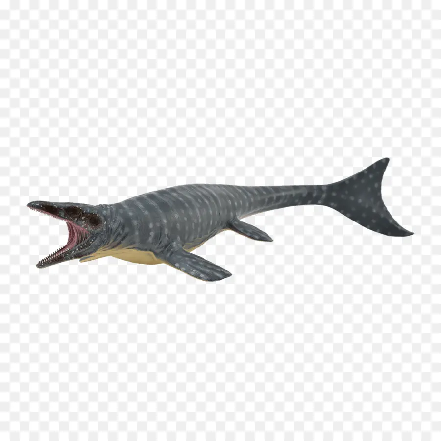 Mosasaurus，Dinosaure PNG